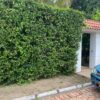 CASA EN CONDOMINIO  CAMPESTRE - DISEÑO EXCLUSIVO - Thumbnail Image 5