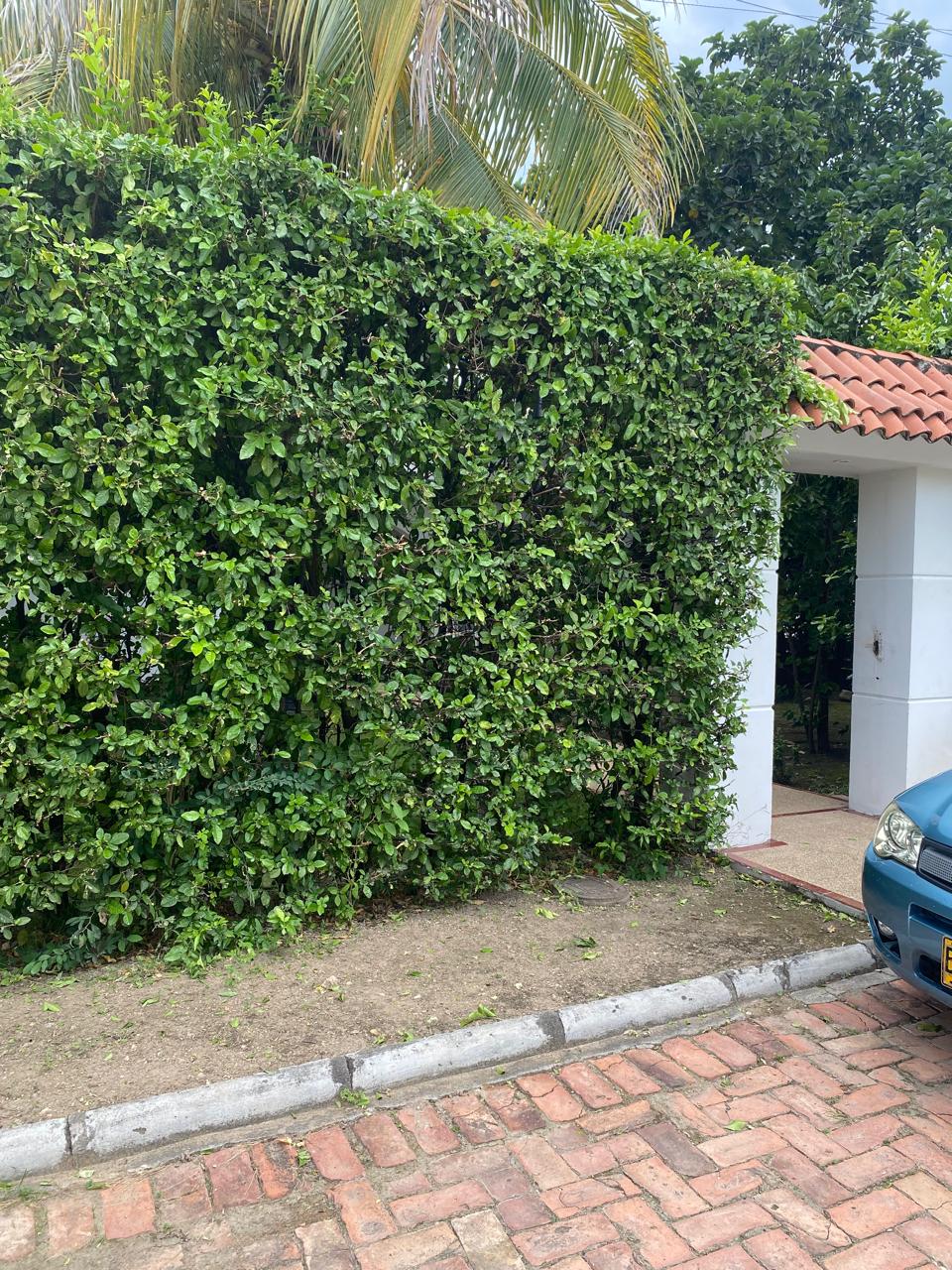 CASA EN CONDOMINIO  CAMPESTRE - DISEÑO EXCLUSIVO - Imagen 5