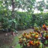 CASA CAMPESTRE A 5 KM. DE GIRADOT VIA TOCAIMA - Thumbnail Image 11